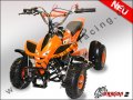 D�tsk� �ty�kolka Dragon 49 cc